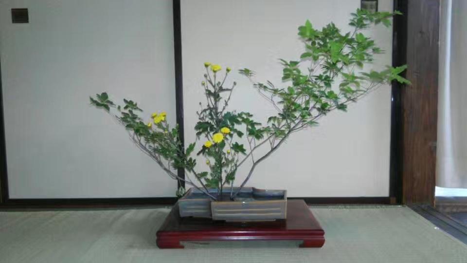 Guest House 鎌倉記憶 Kamakura Buitenkant foto